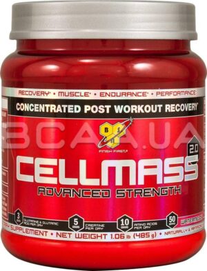 CELLMASS 2.0